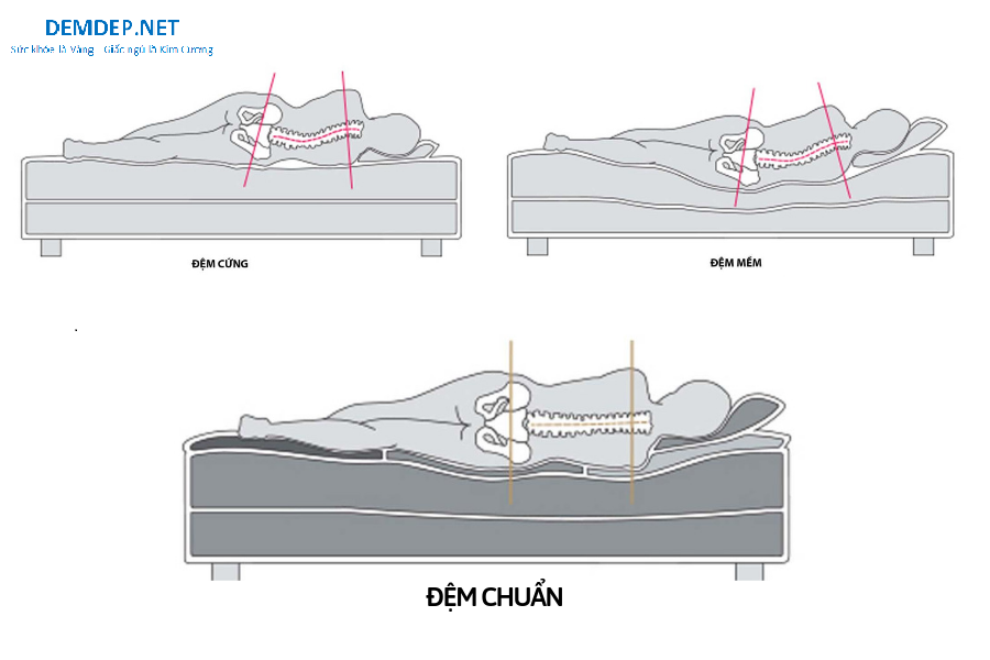 Đệm đẹp - Demdep.net